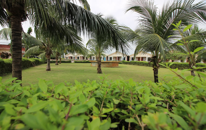 Whispering Palms Resort Baragry. Website design and management